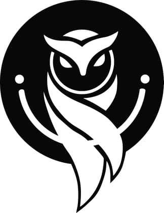 Dbeautify Beautiful Bird Shape Design MDF Wooden Wall Art Hanging for Bedroom Decoration in Black Color Size: 12 Inches