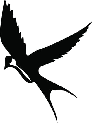 Dbeautify Flying Bird Design MDF Wooden Modern Wall Art Hanging for Living Room Bedroom Decoration in Black Color Size 12 Inches