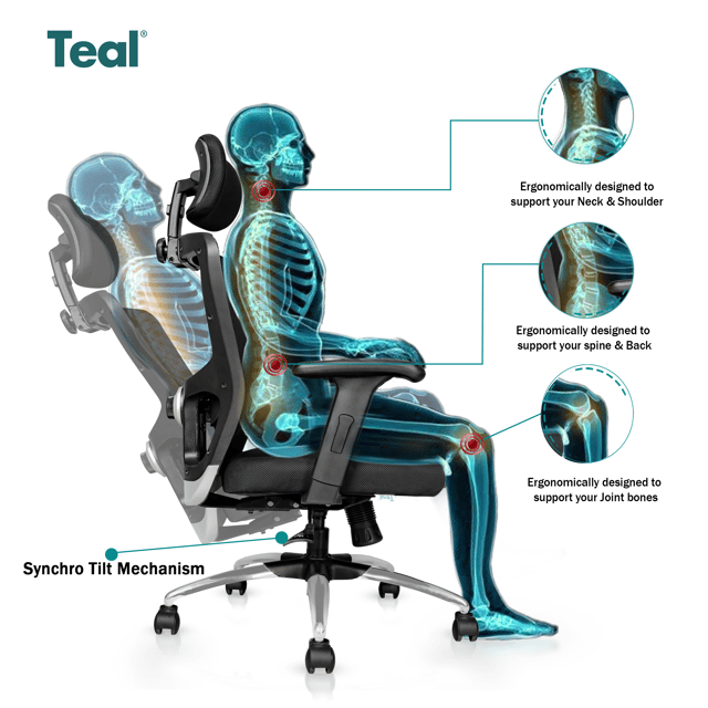 TEAL Zenith HB Office Chair 2 Years Warranty Chair for Office