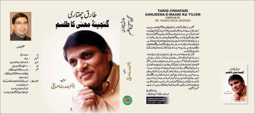 Tariq Chhatari Ganjeena-E-Maani Ka Tilism [Hardcover] DR. HAMID RAZA SIDDIQUI [Hardcover] DR. HAMID RAZA SIDDIQUI