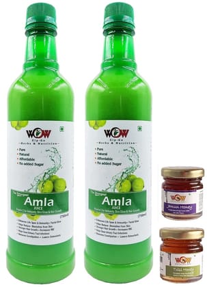 WOW ZIP - GO HERBS & NUTRITION Amla Juice 750Ml 1+1 Free (Pack Of 2) and Tulsi And Jamun Free Honey (55x2 g)