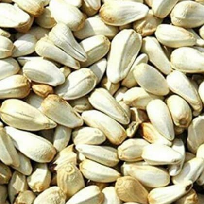 Sipra traders Safflower Seeds (Kusum Dana) Dry & Clean Seed, Kardi Beej, Hand Picked Seed, Benefits of Feather & Long Tail, Egg Hatching, 500 gram