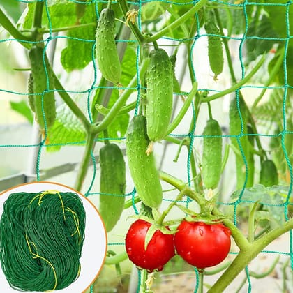 WNE Jaliwale Plant Climbing net & Creeper Net & Plant Trellis Net Plant Support Net Green Color for Agriculture and Gardening Net - 10Feet x 10Feet