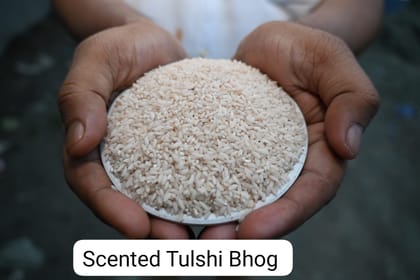 Tulsi Bhog Rice