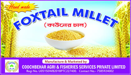 Foxtail Millets Rice