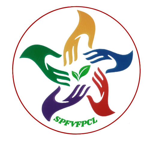 Semmampatti Pudur Fruit And Vegetable Farmers Producer Company Limited