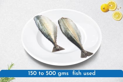 Mackerel/ Bangda Head less