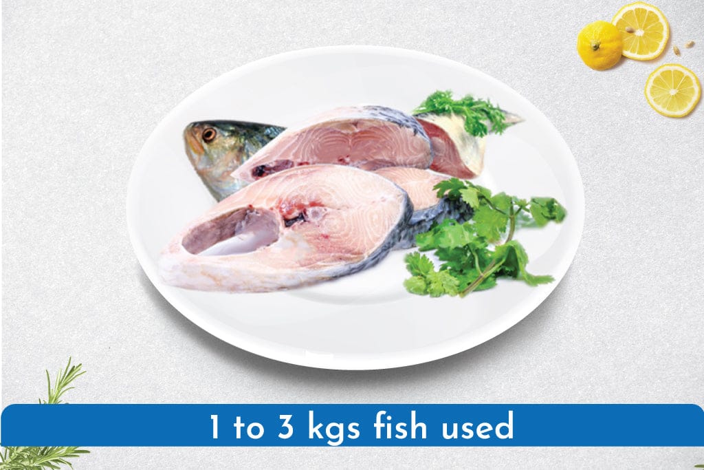 Hilsa Curry Cut with Head