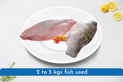 Asian Sea Bass Cubes