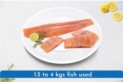 Indian Basa Fillet