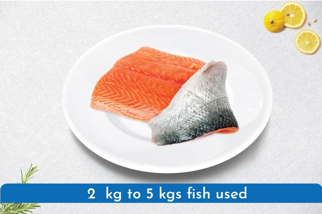 Pink Salmon fillets