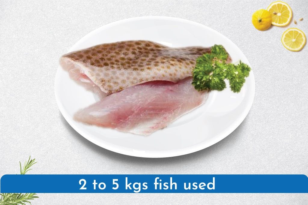 Ekru/Grouper Skinless Fillets