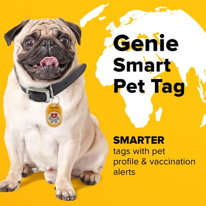 tag8 - Compact Genie Smart Pet Tag