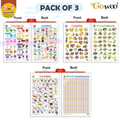 Set of 3 |2 IN 1 COLOURS AND SHAPES, 2 IN 1 FRUITS AND VEGETABLES and 2 IN 1 HINDI VARNMALA AND BAARAHKHADEE Early Learning Educational Charts for Kids