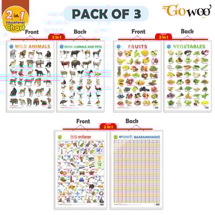 Set of 3 |2 IN 1 FRUITS AND VEGETABLES, 2 IN 1 WILD AND FARM ANIMALS & PETS and 2 IN 1 HINDI VARNMALA AND BAARAHKHADEE Early Learning Educational Charts for Kids