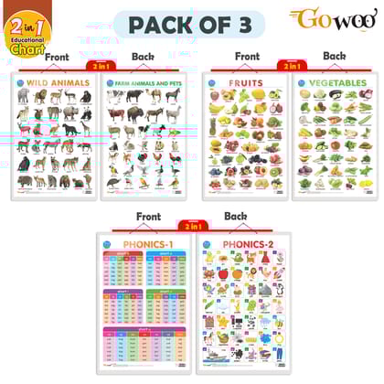 Set of 3 |2 IN 1 FRUITS AND VEGETABLES, 2 IN 1 WILD AND FARM ANIMALS & PETS and 2 IN 1 PHONICS 1 AND PHONICS 2 Early Learning Educational Charts for Kids