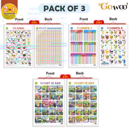 Set of 3 | 2 IN 1 PHONICS 1 AND PHONICS 2, 2 IN 1 HINDI VARNMALA AND BAARAHKHADEE and 2 IN 1 BENNY IS SAD AND BENNY IS SHY Early Learning Educational Charts for Kids