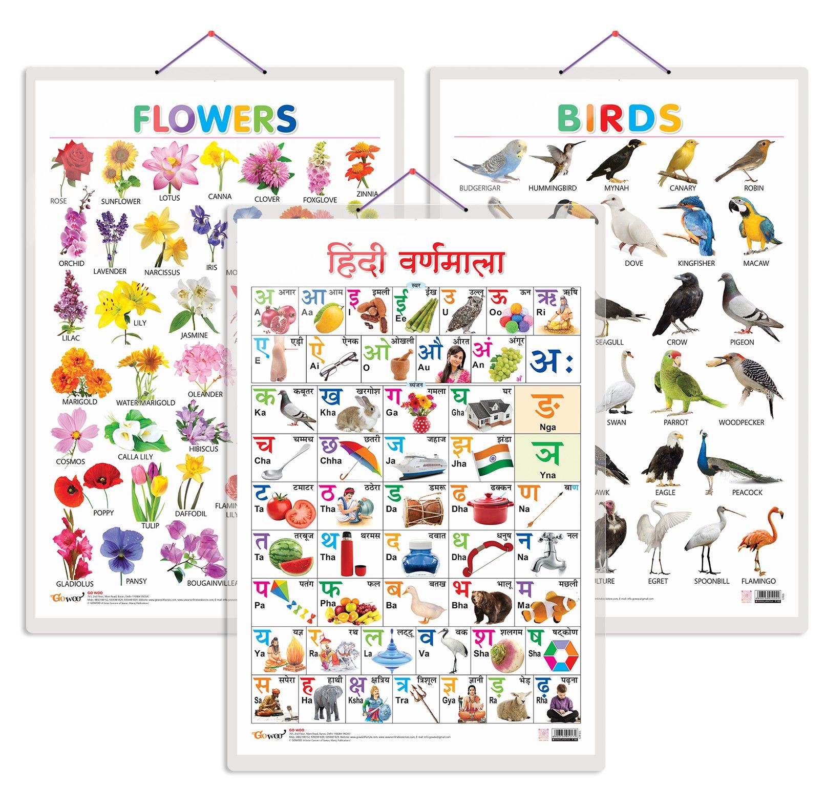 Set of 3 Birds, Flowers and Hindi Varnamala Early Learning Educational Charts for Kids | 20"X30" inch |Non-Tearable and Waterproof | Double Sided Laminated | Perfect for Homeschooling, Kindergarten and Nursery Students