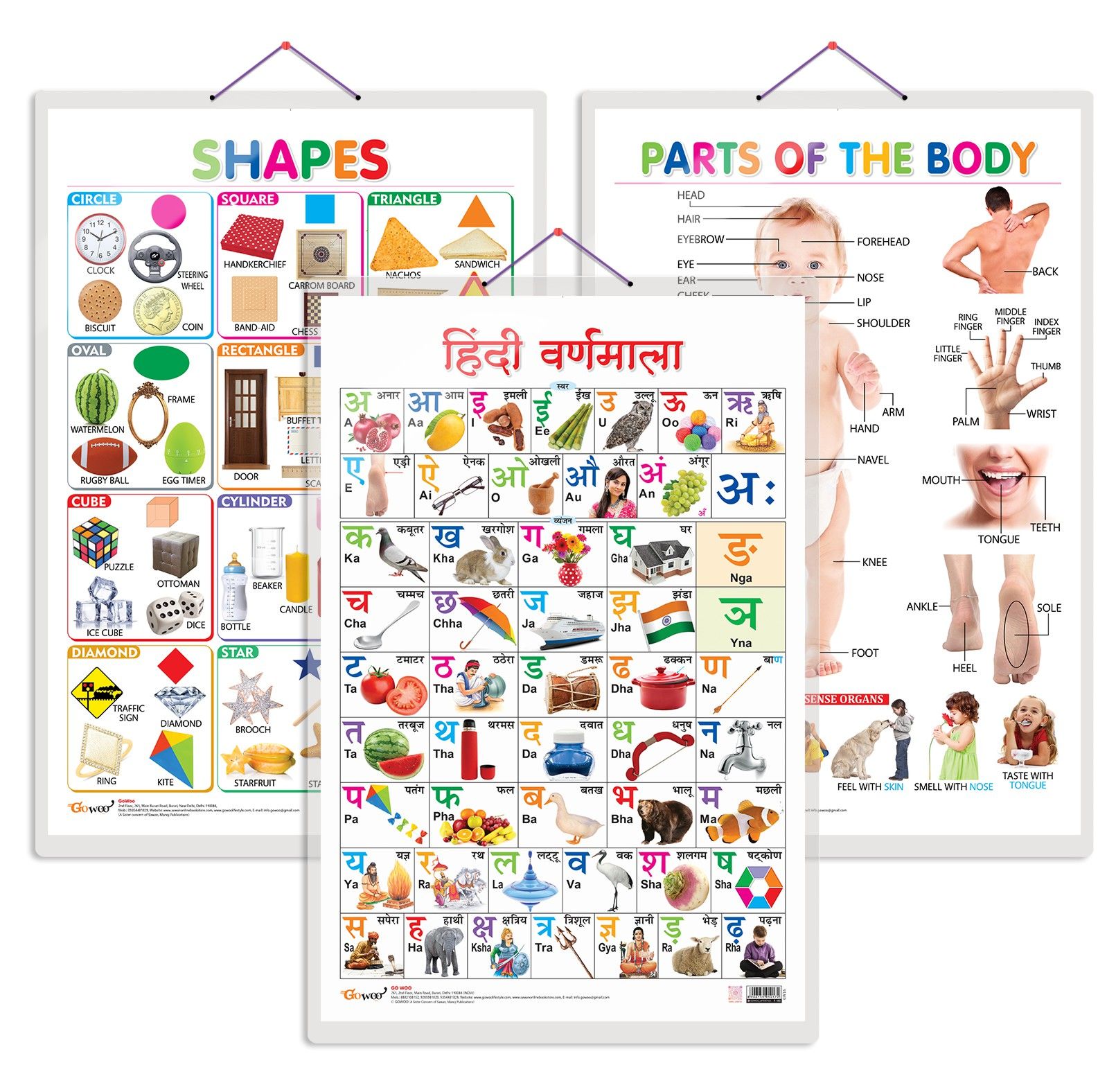 Set of 3 Shapes, Parts of the Body and Hindi Varnamala Chart for Kids | 20"X30" inch |Non-Tearable and Waterproof | Double Sided Laminated | Perfect for Homeschooling, Kindergarten and Nursery Students