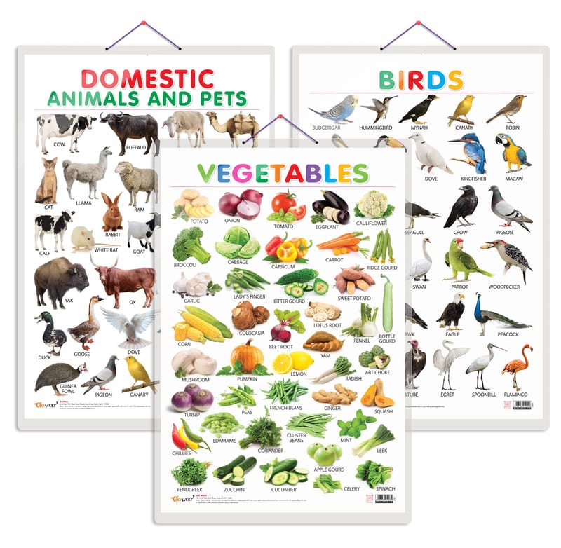 Set of 3 Vegetables, Domestic Animals and Pets and Birds Early Learning ...
