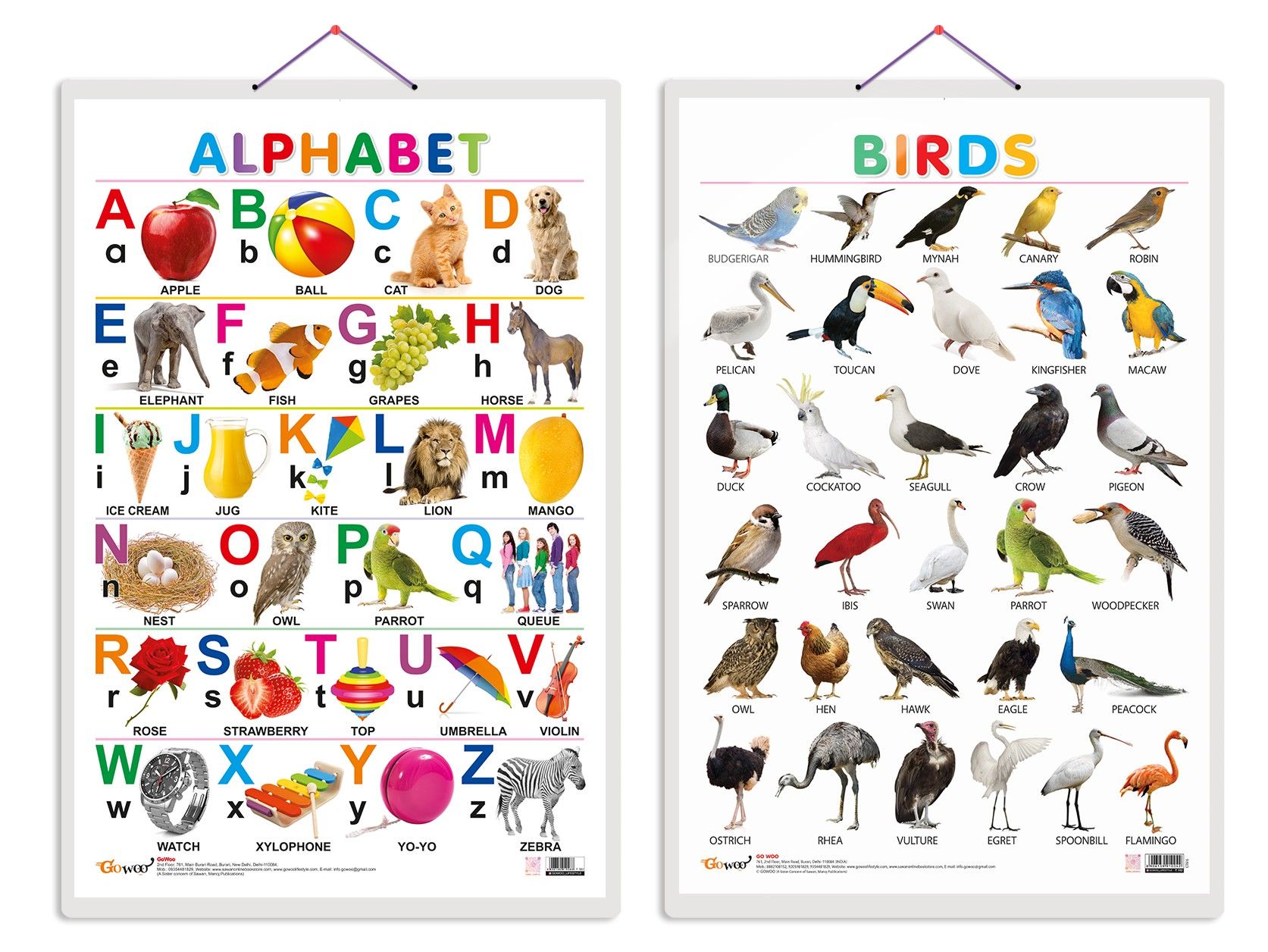 Set of 2 Alphabet and Birds Early Learning Educational Charts for Kids | 20"X30" inch |Non-Tearable and Waterproof | Double Sided Laminated | Perfect for Homeschooling, Kindergarten and Nursery Students