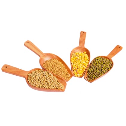 Neem Wood Scoop Spoon – To gauge Flours/Rice/Sugar/Ice Creams etc – Set of 4