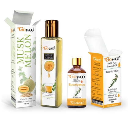 Pack of 2 Eucalyptus Essential Oil and Musk Melon Carrier Oil - 100% Natural Therapeutic Grade for Hair and Care