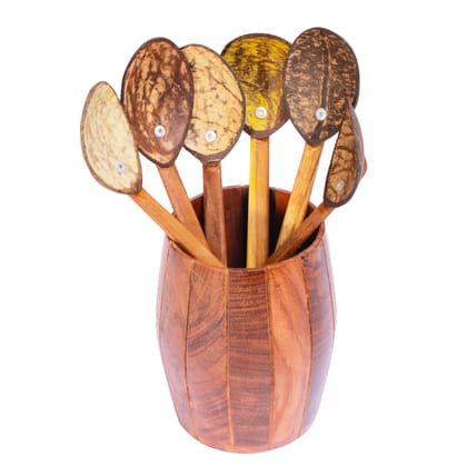 Eco-friendly Handmade Coconut Shell small Spoon (Pack of 6) – Made with Coconut Shell & Coconut Wood