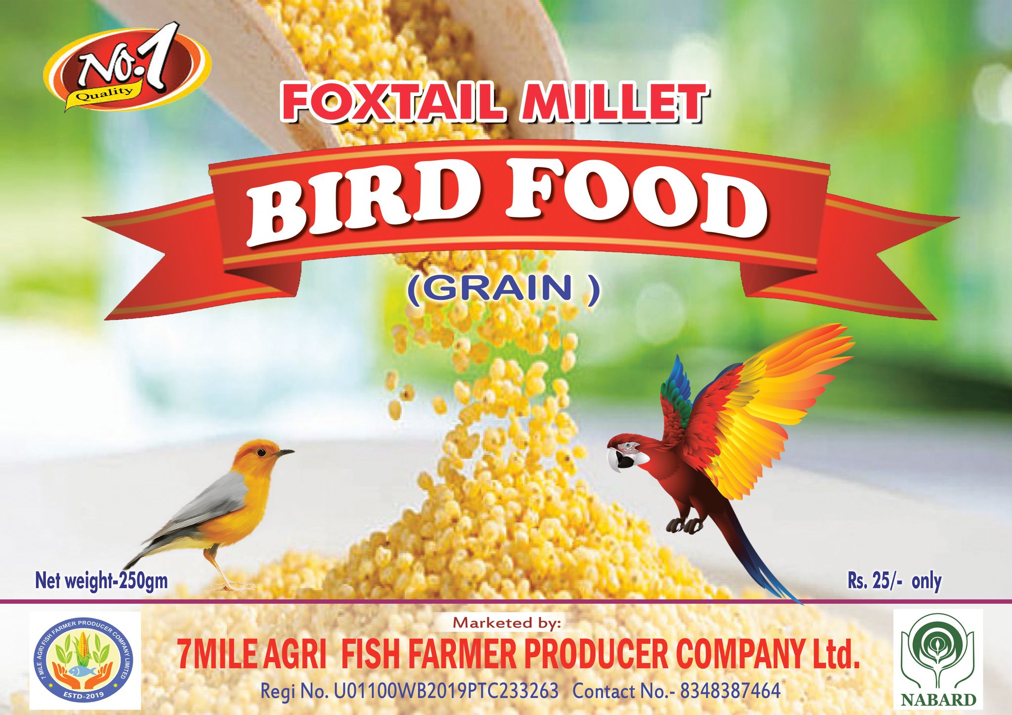 Foxtail Millet Bird Food Grain
