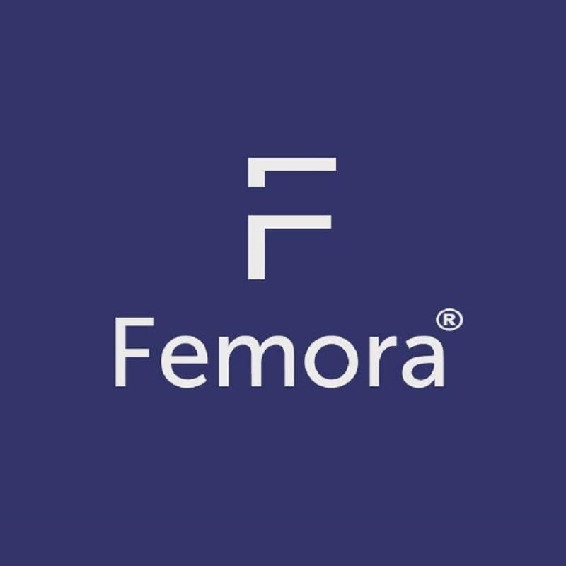 FEMORA INDIA PRIVATE LIMITED