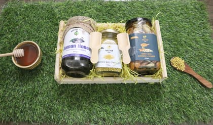 Bee Products Special gift pack (with free Wooden spoon)