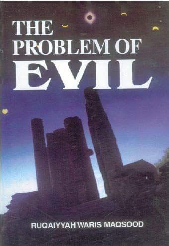The Problem Of Evil [Paperback] R. W. Maqsood [Paperback] R. W. Maqsood