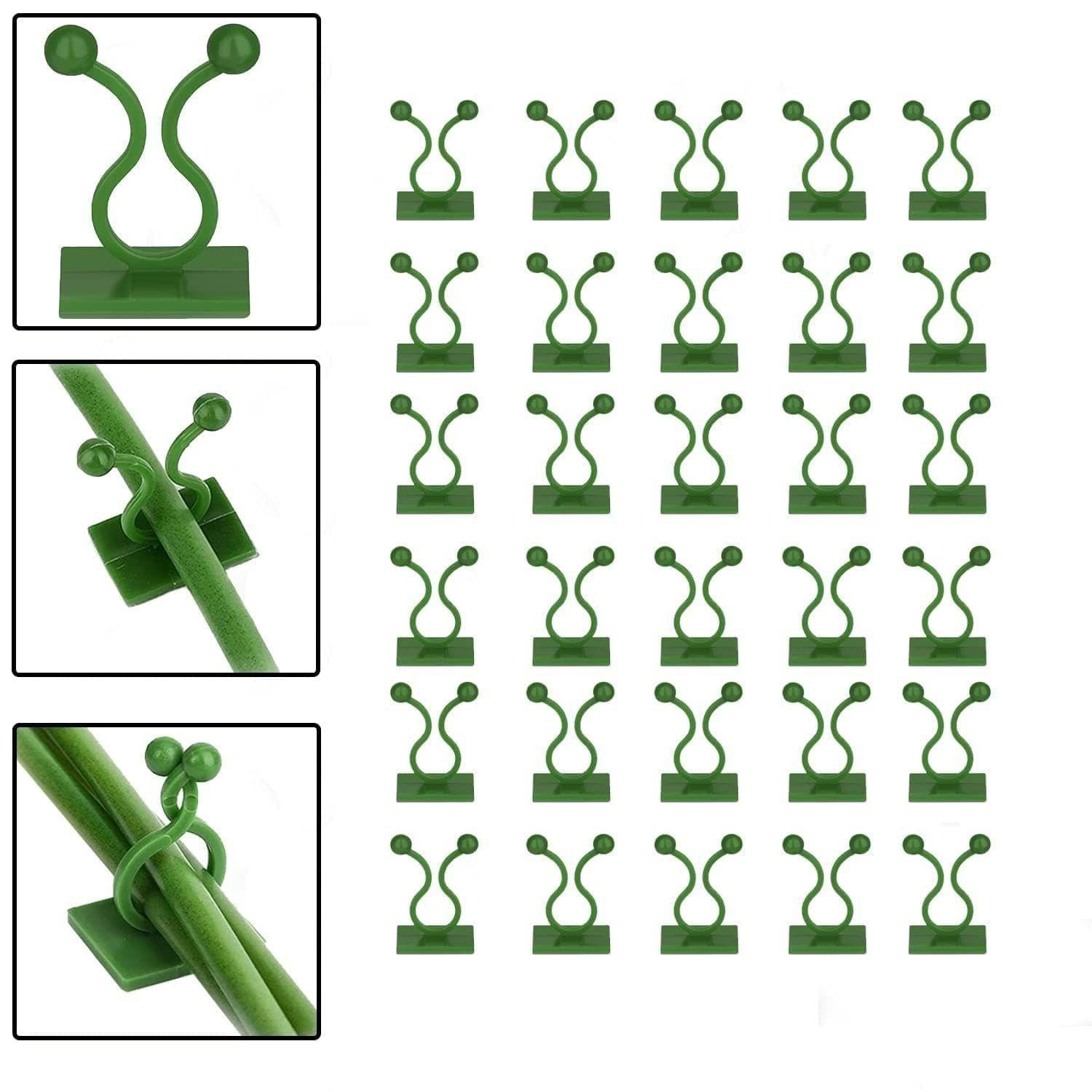 Store4hope A 30pcs Wall Plant Climbing Clip widely Used for Holding Plants and Poultry Purposes and All.