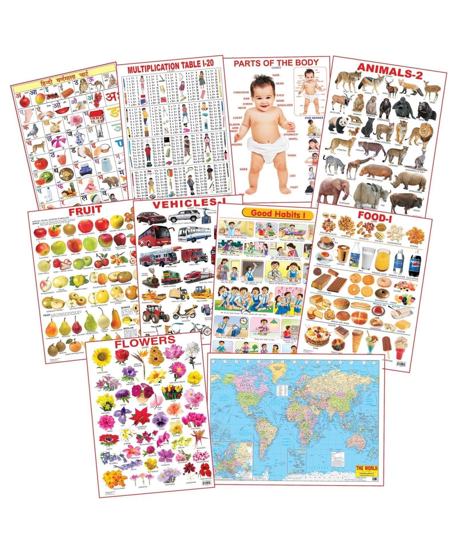 Dreamland Educational Charts - Combo 5 (10 Charts) [Paperback] Dreamland Publications