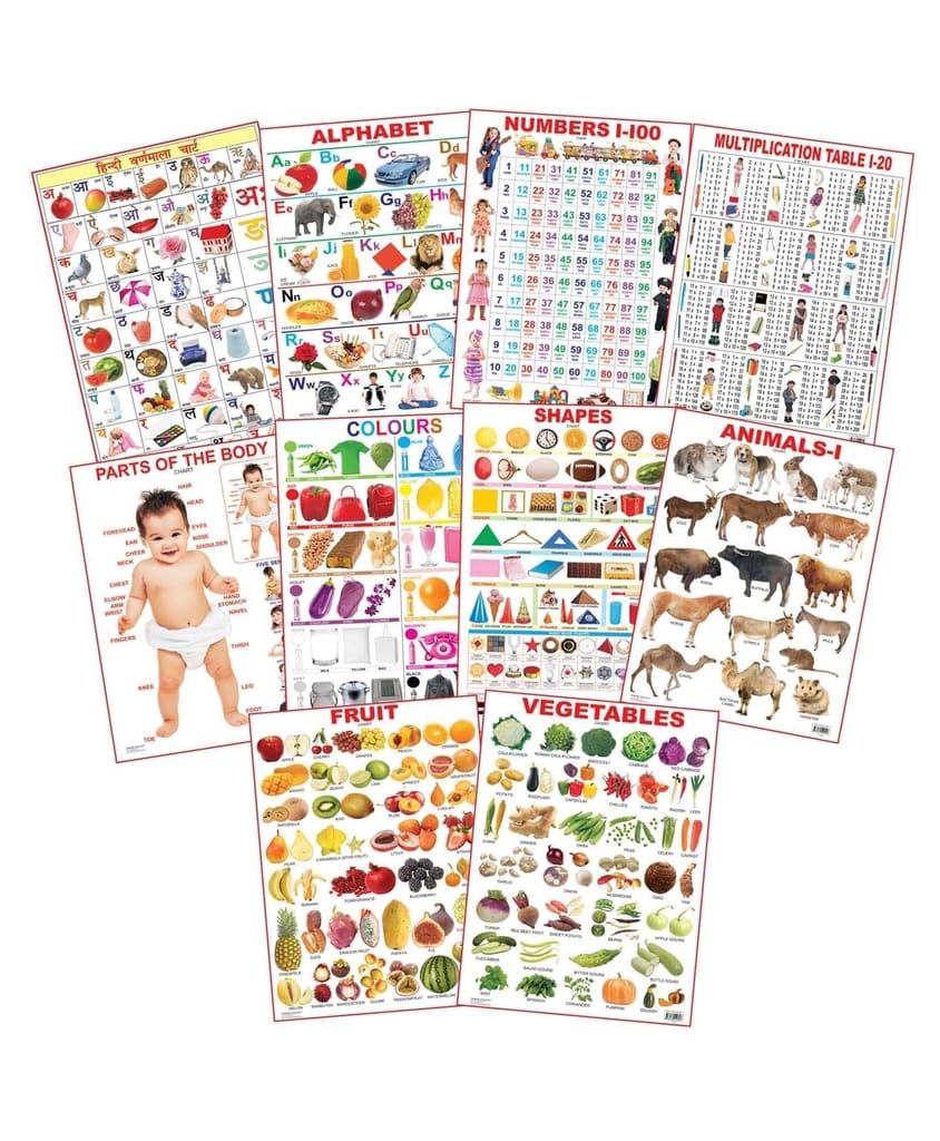 Dreamland Educational Charts - Combo 1 (10 Charts) [Paperback] Dreamland Publications - Stationery | Buy online on ZillyBuy