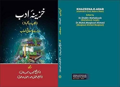 Hasan Rahber Ek Munfrid Afsana Nigar [Hardcover] Irfan Ahmad Ansari [Hardcover] Irfan Ahmad Ansari