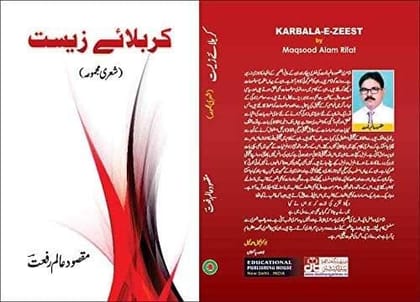 Dunk [Hardcover] Maqsood Alam Rifat [Hardcover] Maqsood Alam Rifat