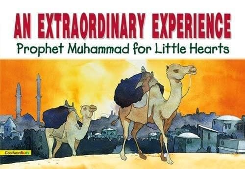 An Extraordinary Experience - Paperback [Paperback] Saniyasnain Khan [Paperback] Saniyasnain Khan
