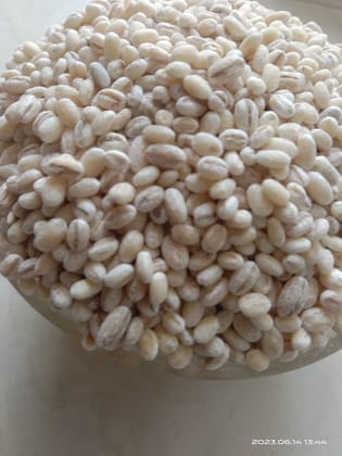 Uzhavan Unavu - Barley Rice/ Jau Chaaval - 500 Gms.