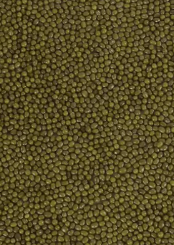 Moong Whole - Moong Sabut Greengram whole