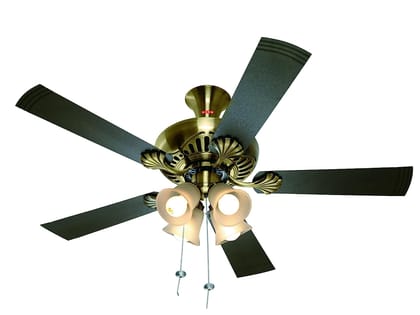 Usha Fontana Maple 1250mm Ceiling Fan with Decorative Lights (Antique Brass), Black