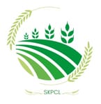 Sohagi Kisan Producer Company Limited