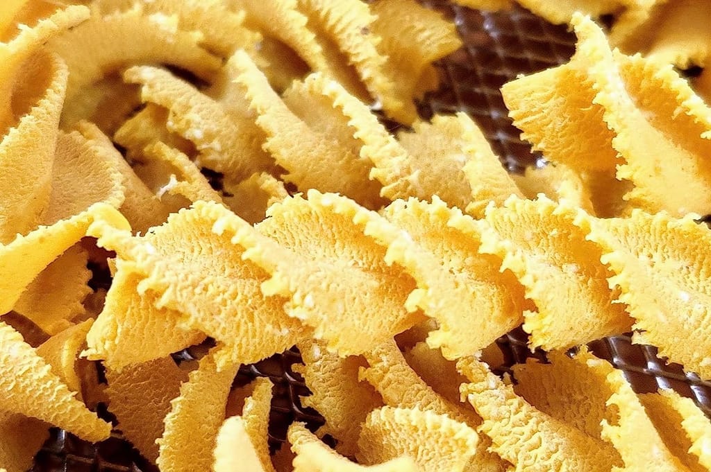 Donna Pastaia Artisanal Pasta | Wholewheat Fusilli Pasta | No Maida, No Salt, No Preservatives | Proudly Made in India