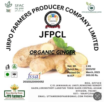 Organic Raw Ginger