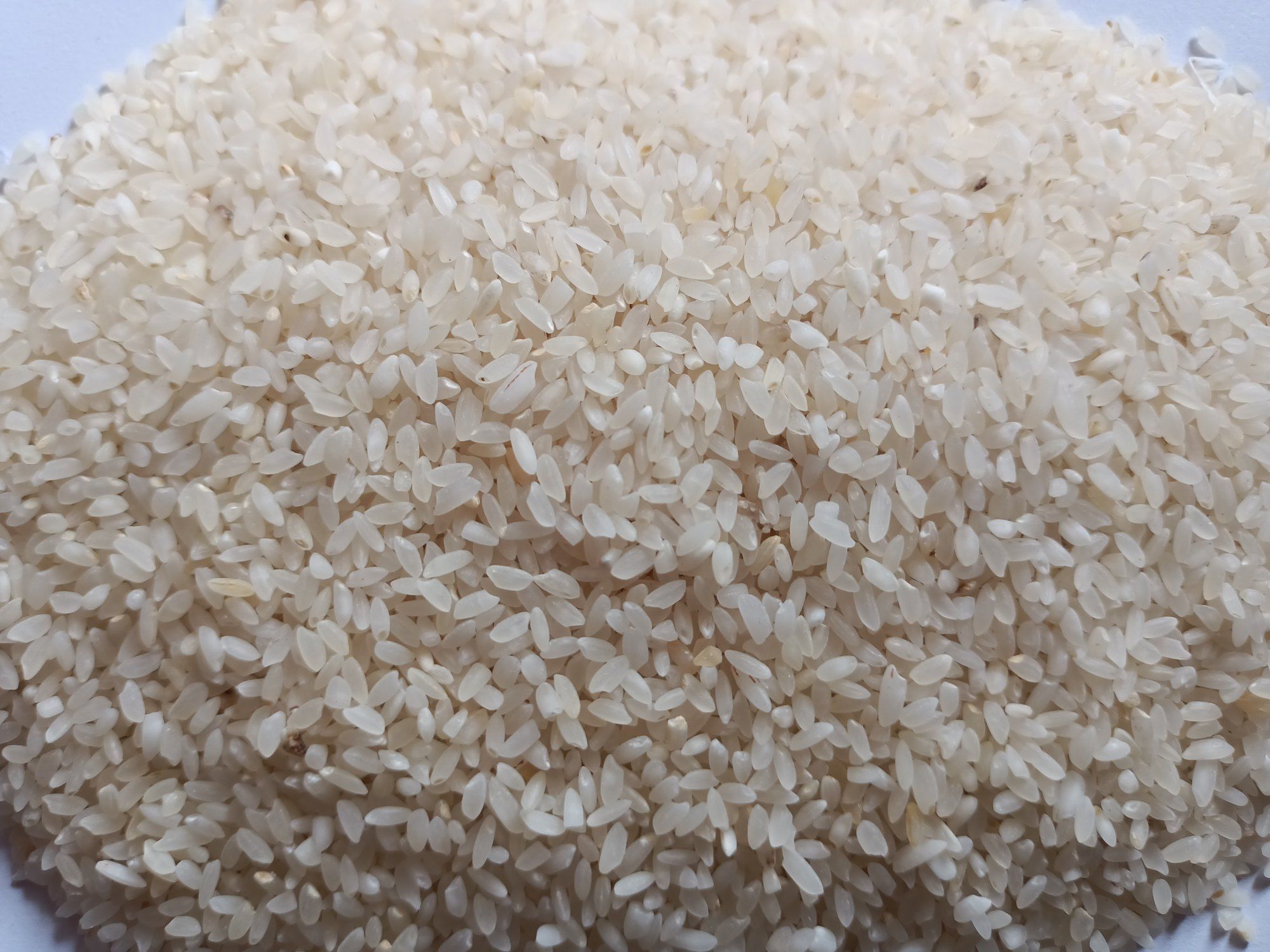 Kola joha rice
