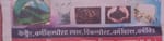 Goldenkalaliya farmer producer company limited