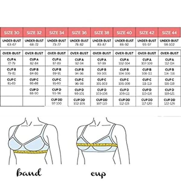 FASHION BONES Full Coverage Daily Use Cotton Cross Bra in Cup Size C for  Women and Girls Combo Pack of 2 White
