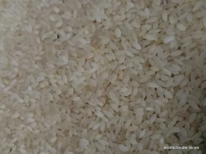 Uzhavan Unavu - Organic Traditional Seeraga Samba Rice (Boiled Rice) 1 year - 1 Kg