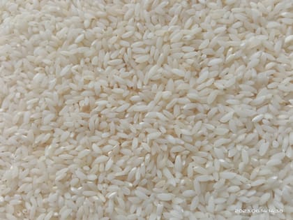 Uzhavan Unavu - Organic Traditional Raw Seeraga Samba Rice (Biryani Special) 1 year - 1kg