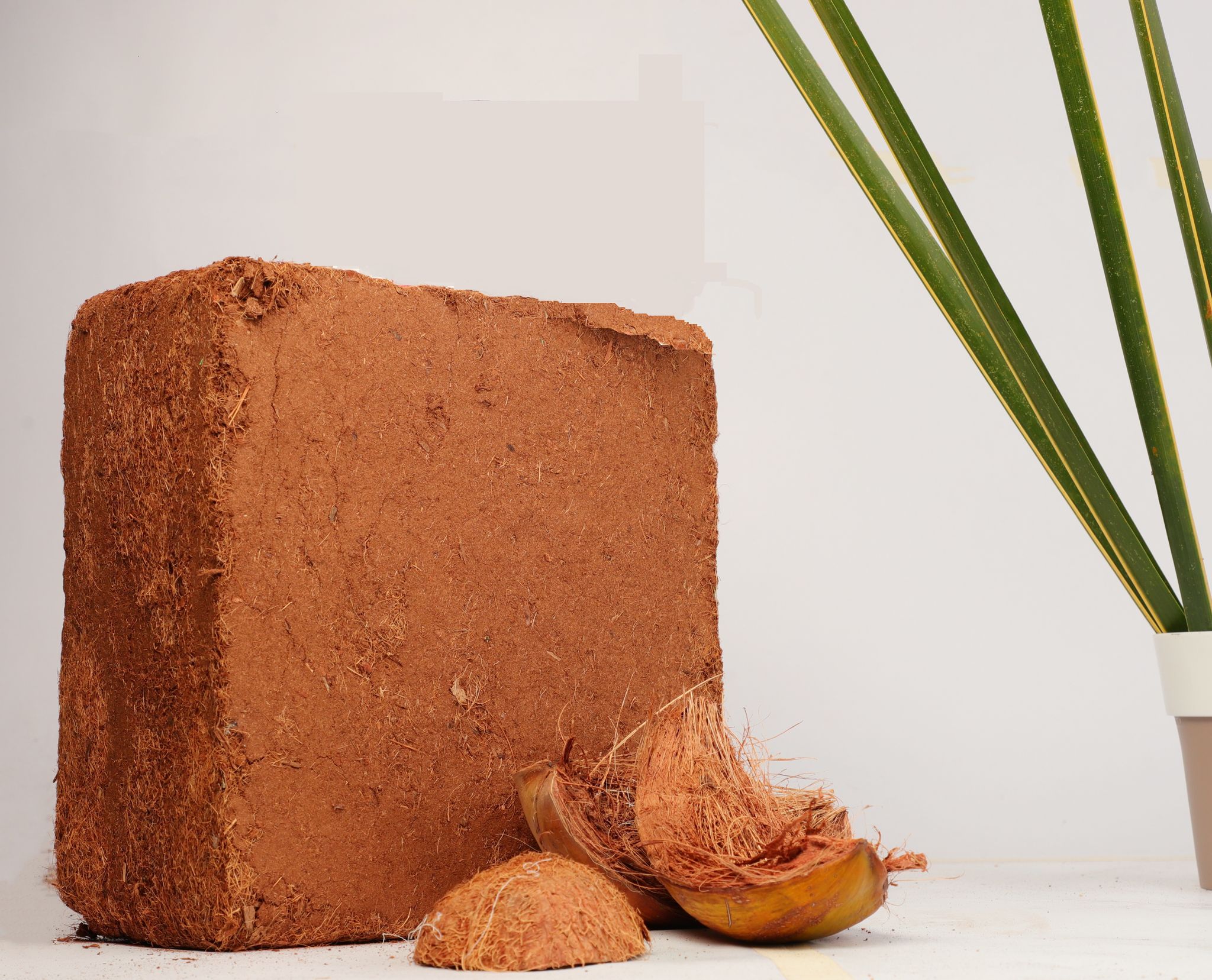 Cocopeat 5kg Block